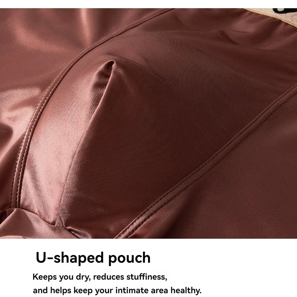 Seamless Wears™ Luxury Ice Silk Men's Panties